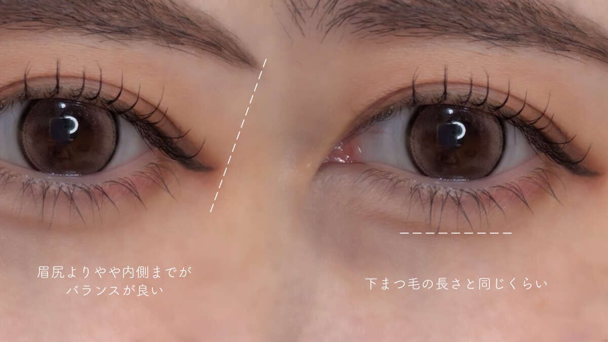 目尻と下まぶたのアイシャドウを広げる範囲の目安