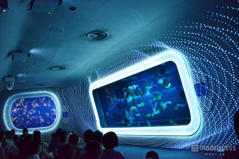 クラゲの展示と光と音の融合「海月の宇宙」