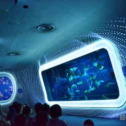 クラゲの展示と光と音の融合「海月の宇宙」