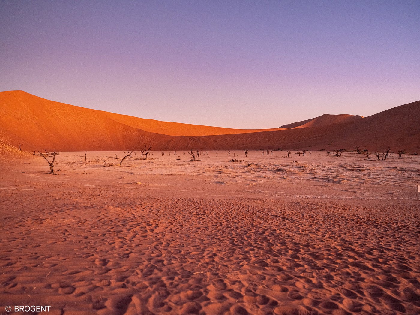 エアクルーズ・ザ・ライド／提供画像