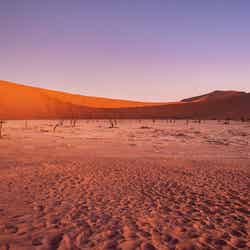 エアクルーズ・ザ・ライド/提供画像