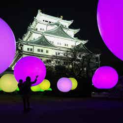 名古屋城と光のアートがコラボ　昼とは違う幻想的な表情／画像提供：W TOKYO