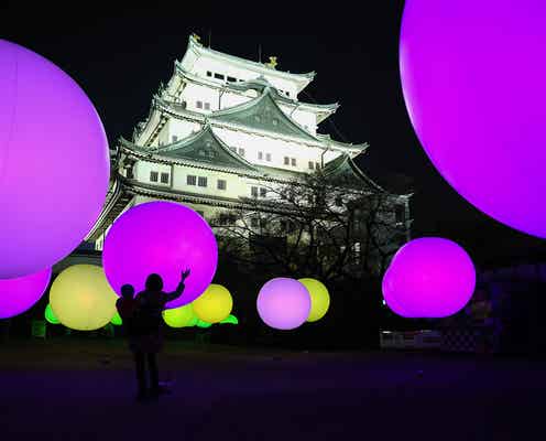 名古屋城と光のアートがコラボ 昼とは違う幻想的な表情