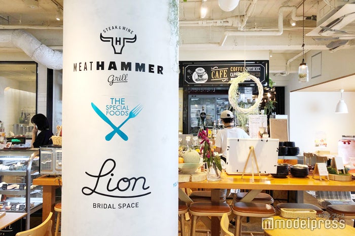 Lion CAFE（C）ビューティーガール