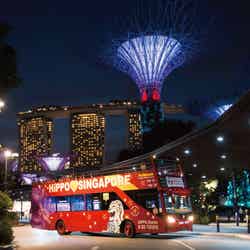 ガーデンズ・バイ・ザ・ベイのライトアップ(提供写真)