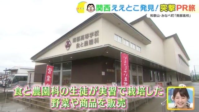 クエタマ鍋って知ってる？和歌山県みなべ町の「ええとこ」発見