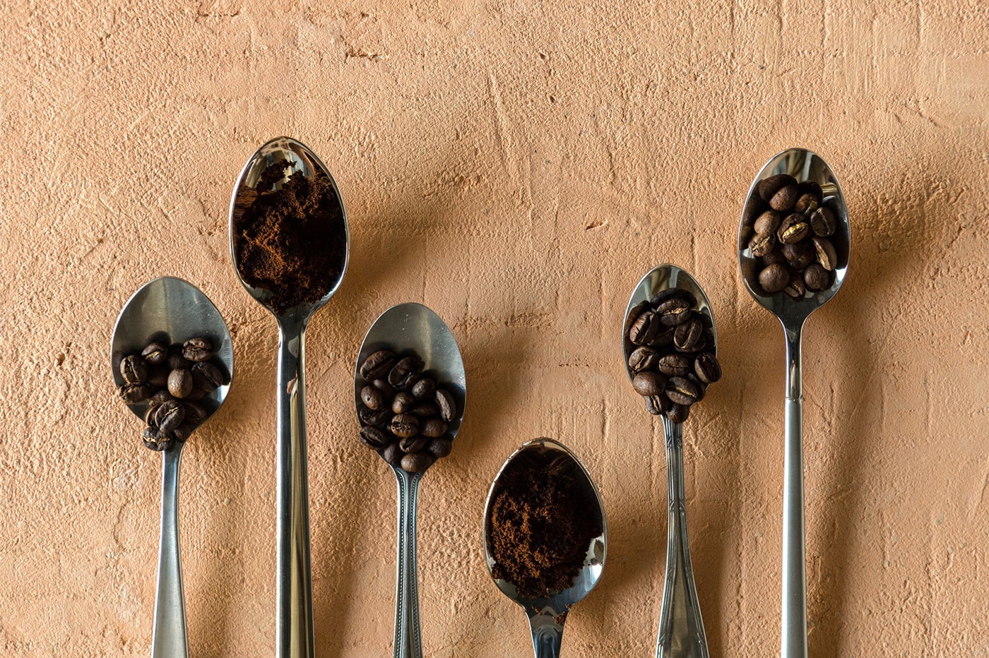 世界各地の選りすぐりのコーヒー豆を季節に合わせてセレクト／画像提供：トランジット