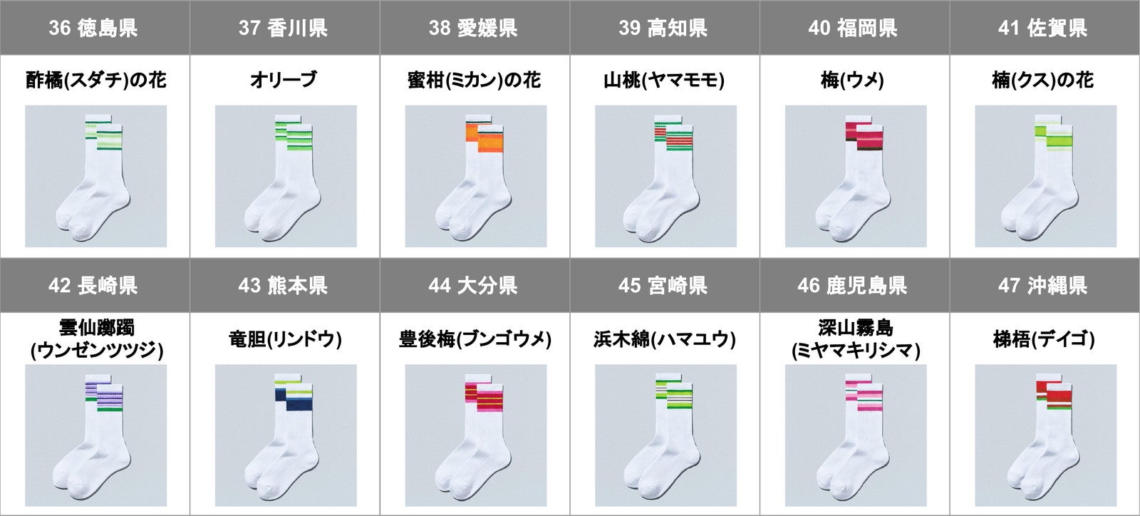 47都道府県別ラインソックス／提供画像