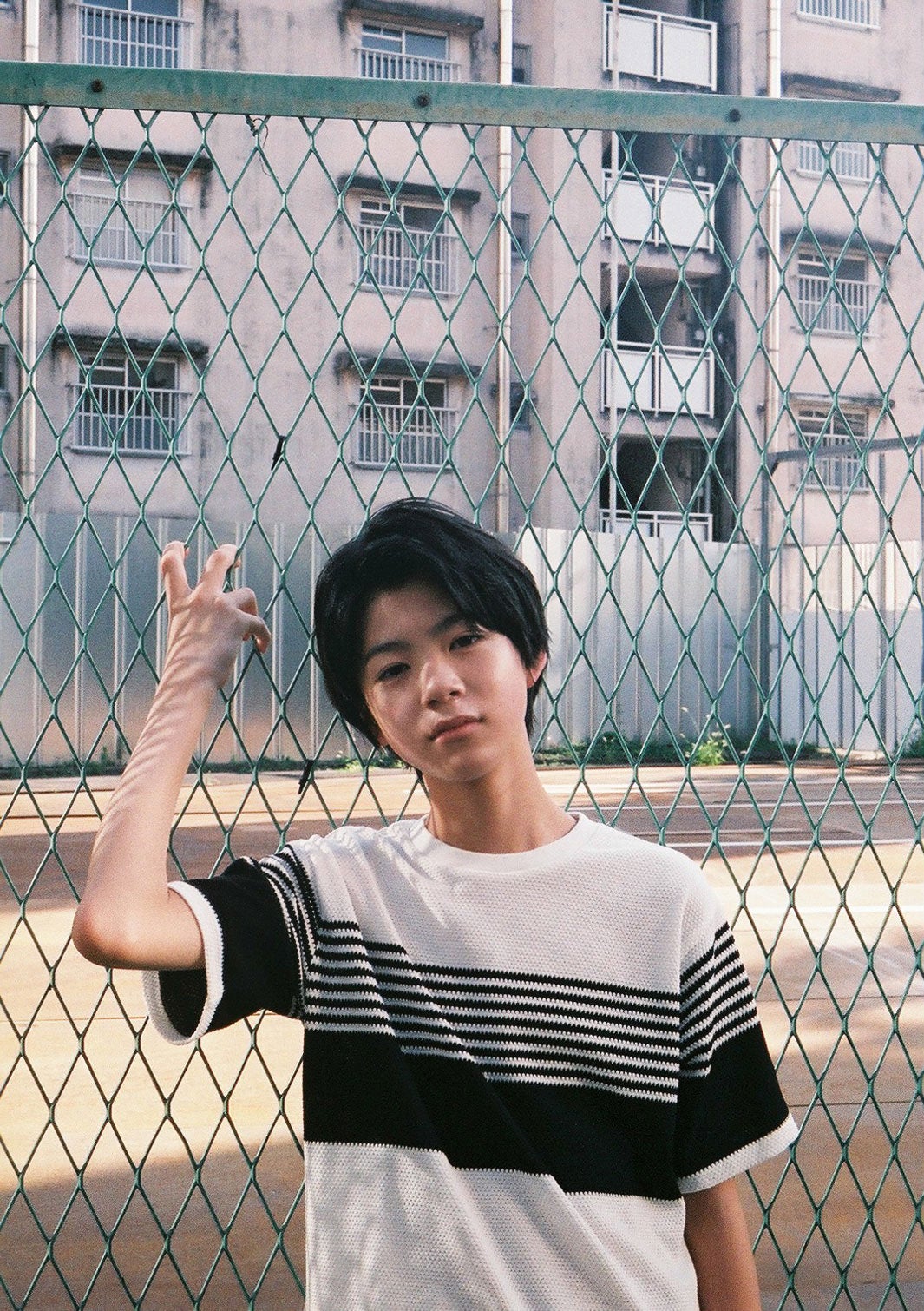 白鳥晴都（C）上野留加