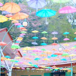 ムーミン谷とアンブレラ(C)Moomin Characters