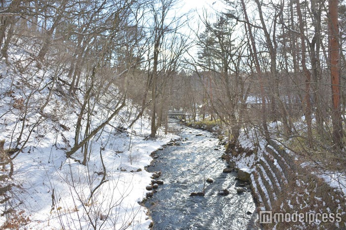 軽井沢の自然(C)モデルプレス