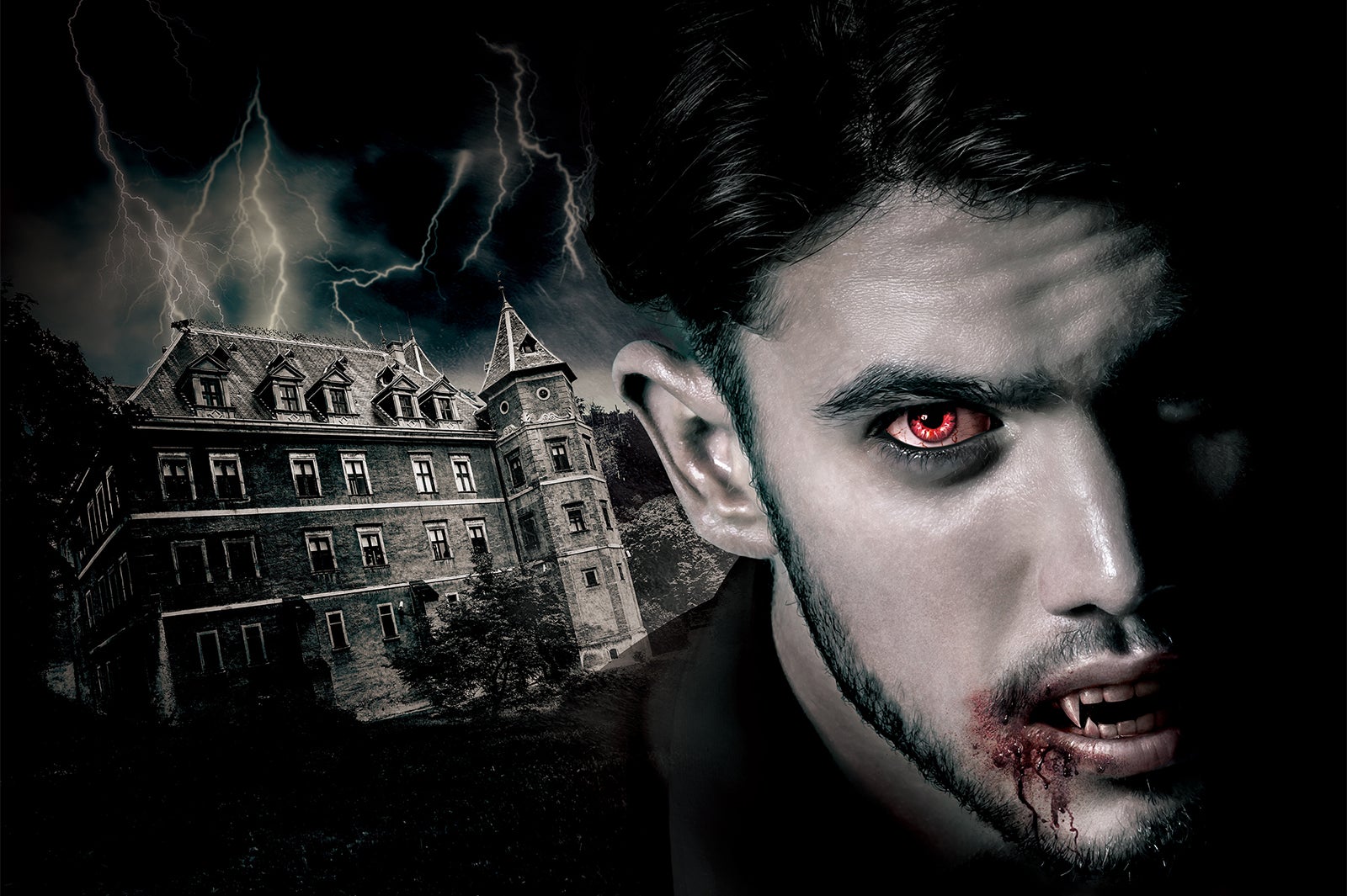 ブラッド・レジェンド／画像提供：ユー・エス・ジェイ