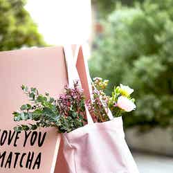 アルフレッド・ティー・ルーム(提供画像)