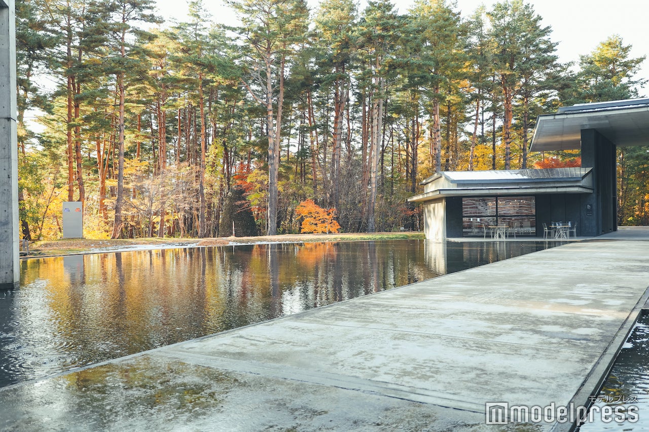 自然に囲まれながら水の音に癒されます （C）モデルプレス