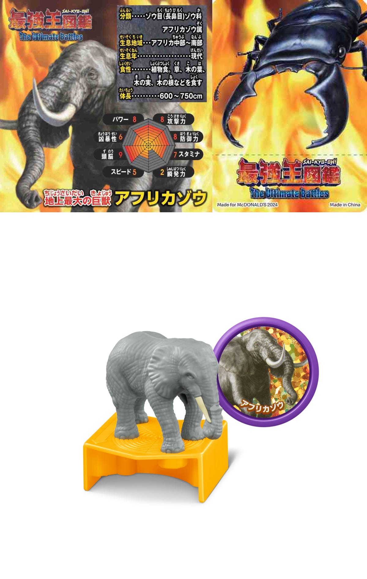 02アフリカゾウ
