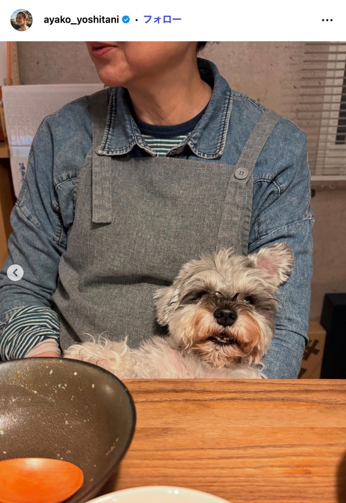 吉谷彩子Instagramより