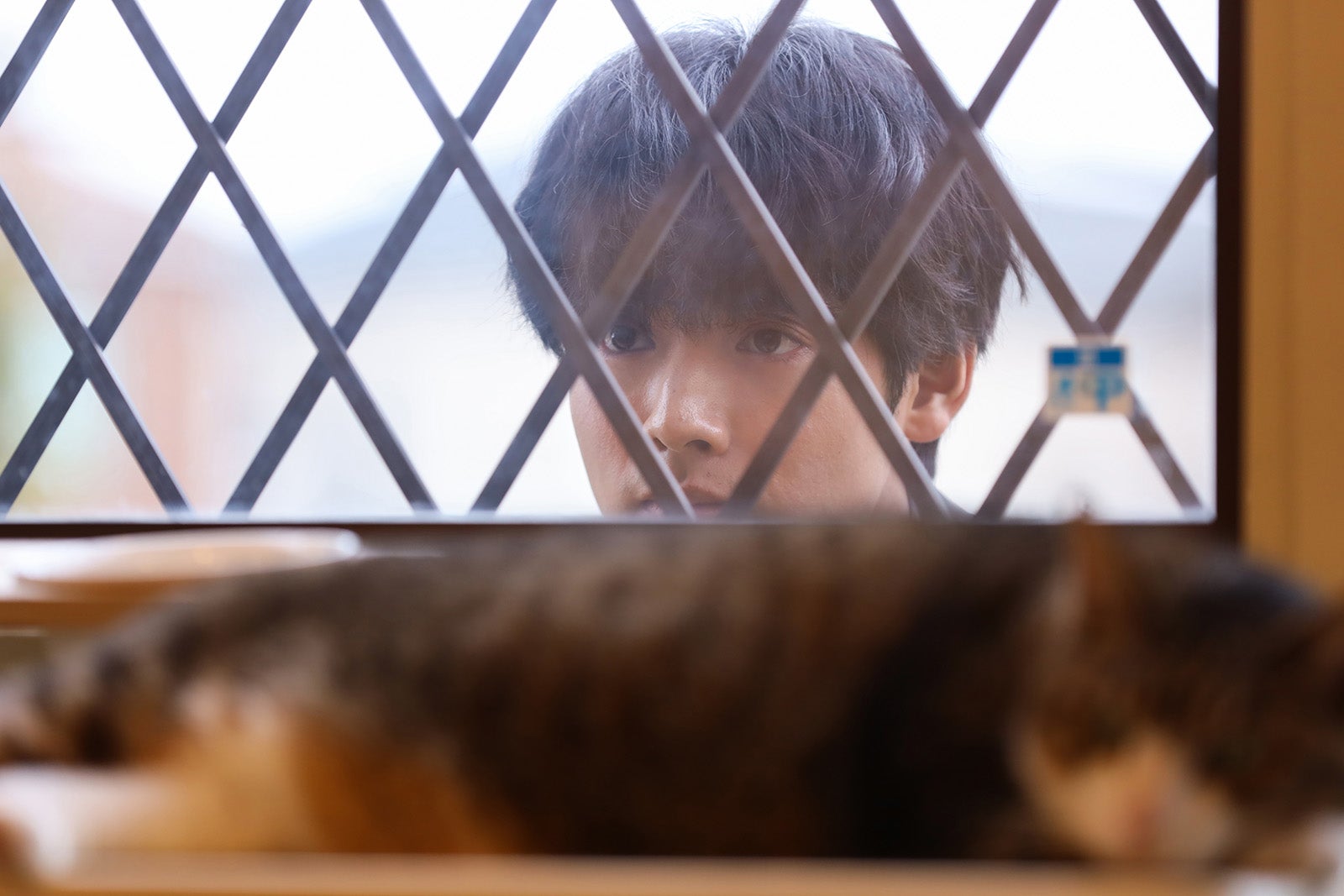 赤楚衛二「相続探偵」第3話（C）日本テレビ