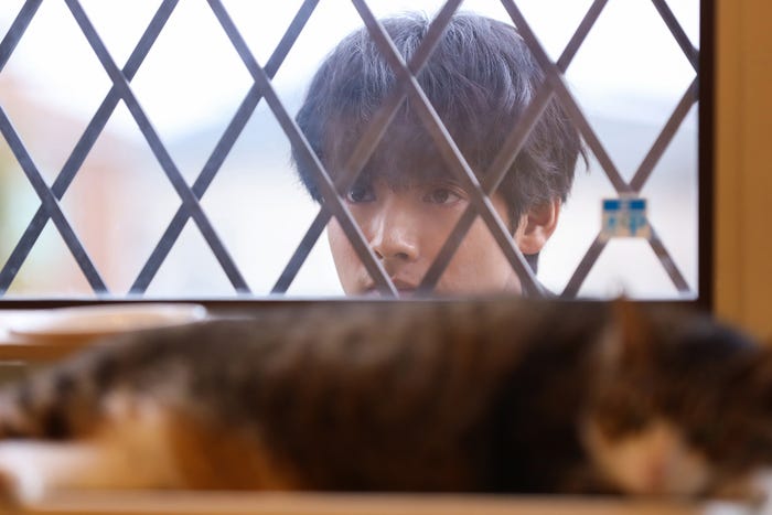 赤楚衛二「相続探偵」第3話(C)日本テレビ