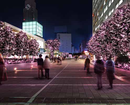 桜色イルミにうっとり「新宿テラスシティ イルミネーション」 新宿駅周辺がピンク一色に