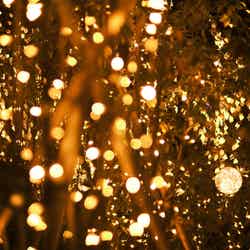 ライトアップの様子/提供画像