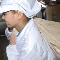 日本酒造りに奮闘する今泉宏美