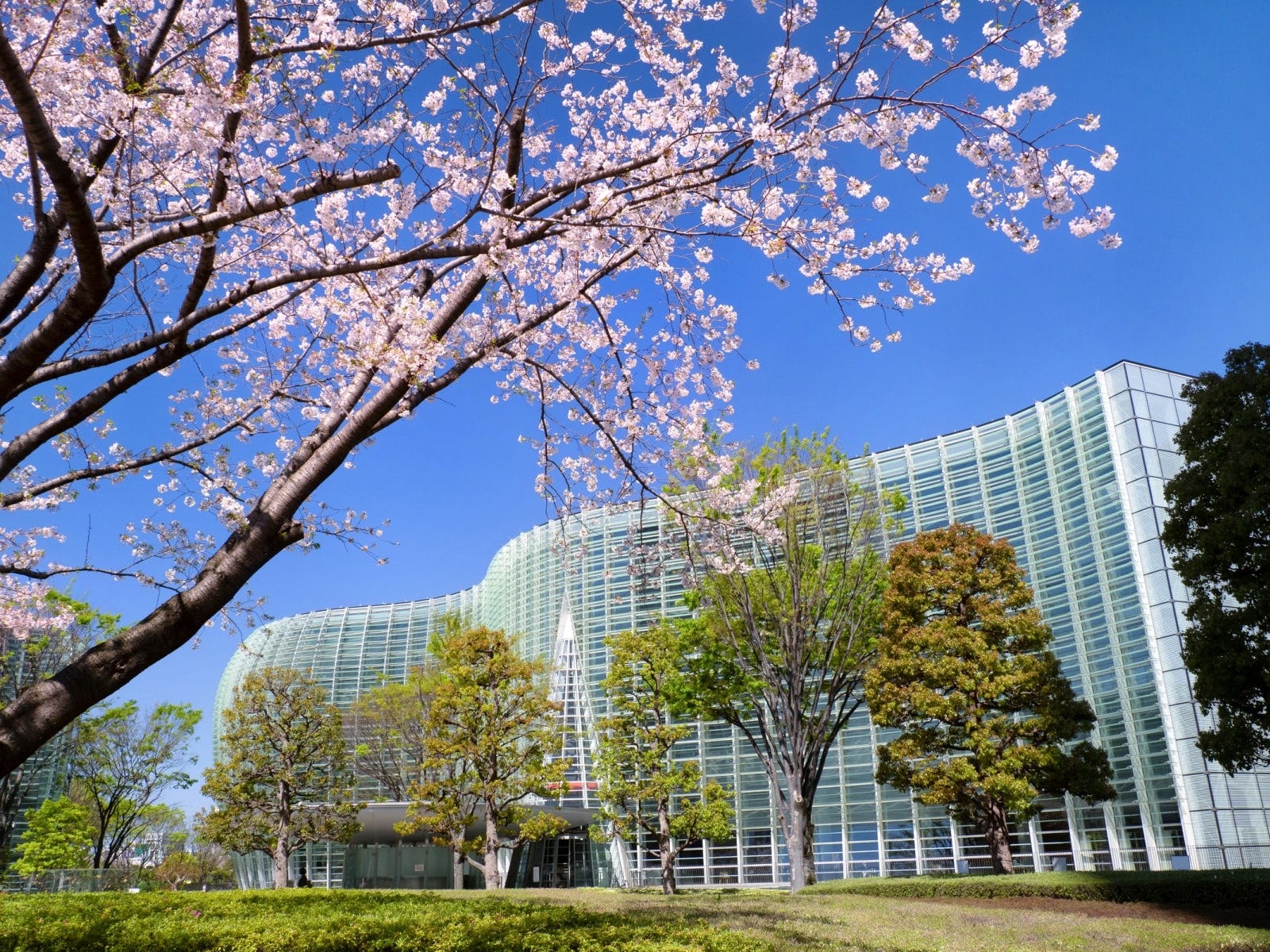 六本木の名所と言っても大げさではない国立新美術館