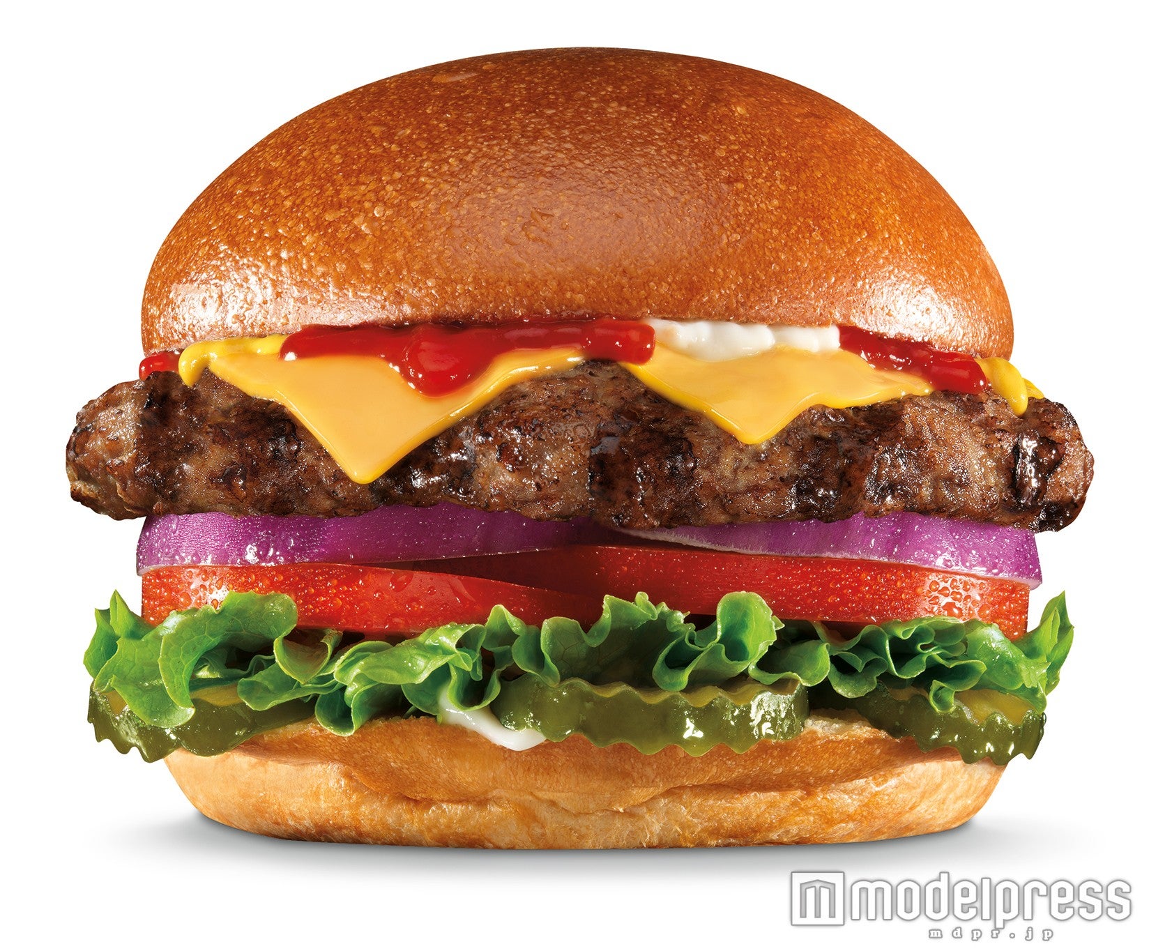 オリジナルシックバーガー／画像提供：ミツウロコグループホールディングス