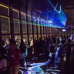 AURORA TROPICAL NIGHT/画像提供:東京タワー