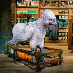 ハリー・ポッター ショップ 原宿/提供画像