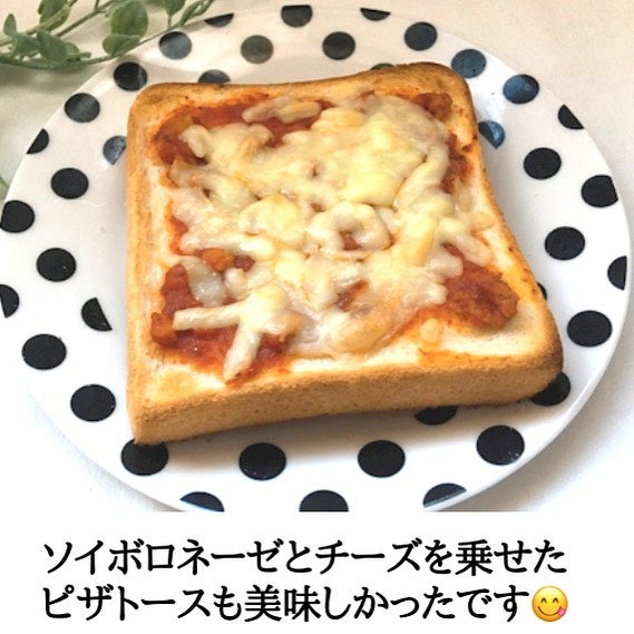 業務スーパー「ソイボロネーゼ」