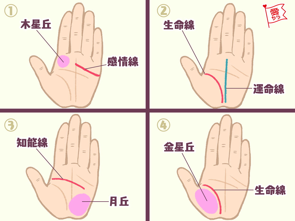 手相・男運の良い女性に現れる手相4選