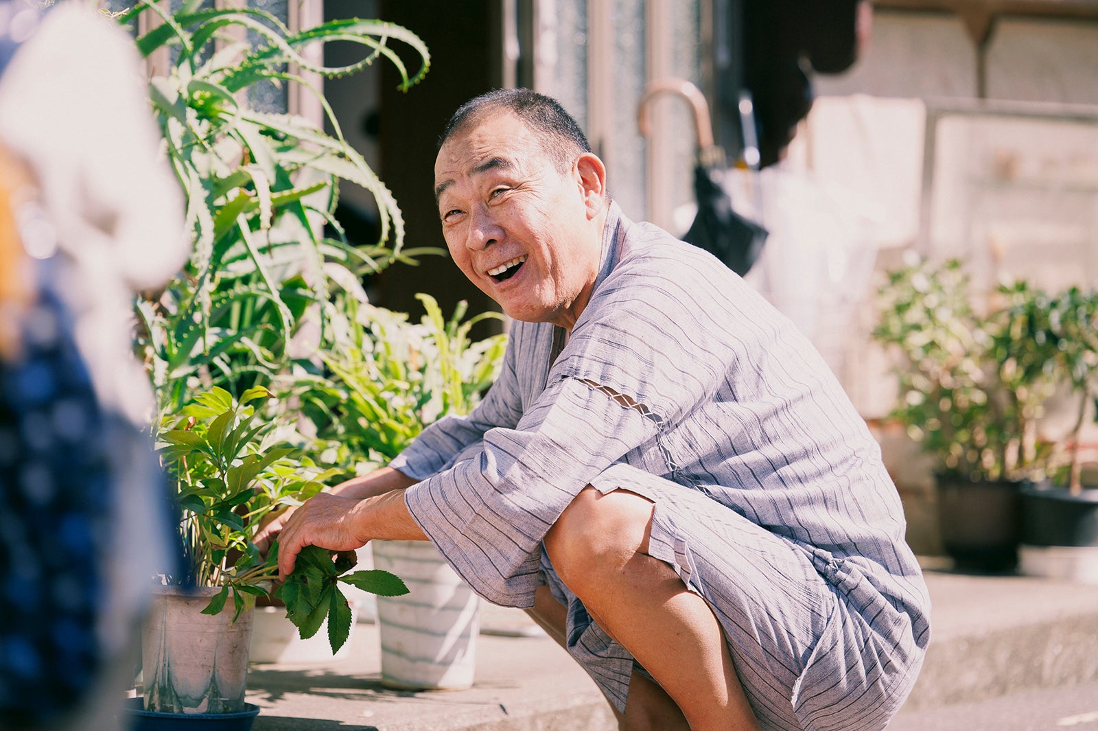 でんでん「ライオンの隠れ家」第5話（C）TBS