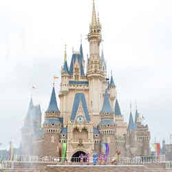 東京ディズニーランド※写真は現在行われているプログラムとは関係ありません（2019年7月撮影）（C）モデルプレス（C）Disney