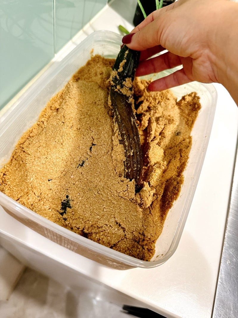 渡辺美奈代オフィシャルブログより