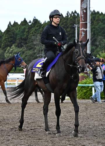 【宝塚記念】コスモキュランダ 再び波乱演出なるか 伏兵扱いに加藤士師「その方が面白い」 秘策も匂わす「ジョッキーも練ってるはず」
