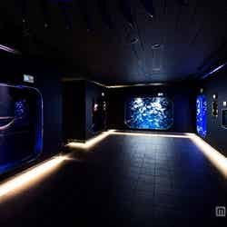 生体展示ゾーン/画像提供:株式会社グランビスタ ホテル&リゾート