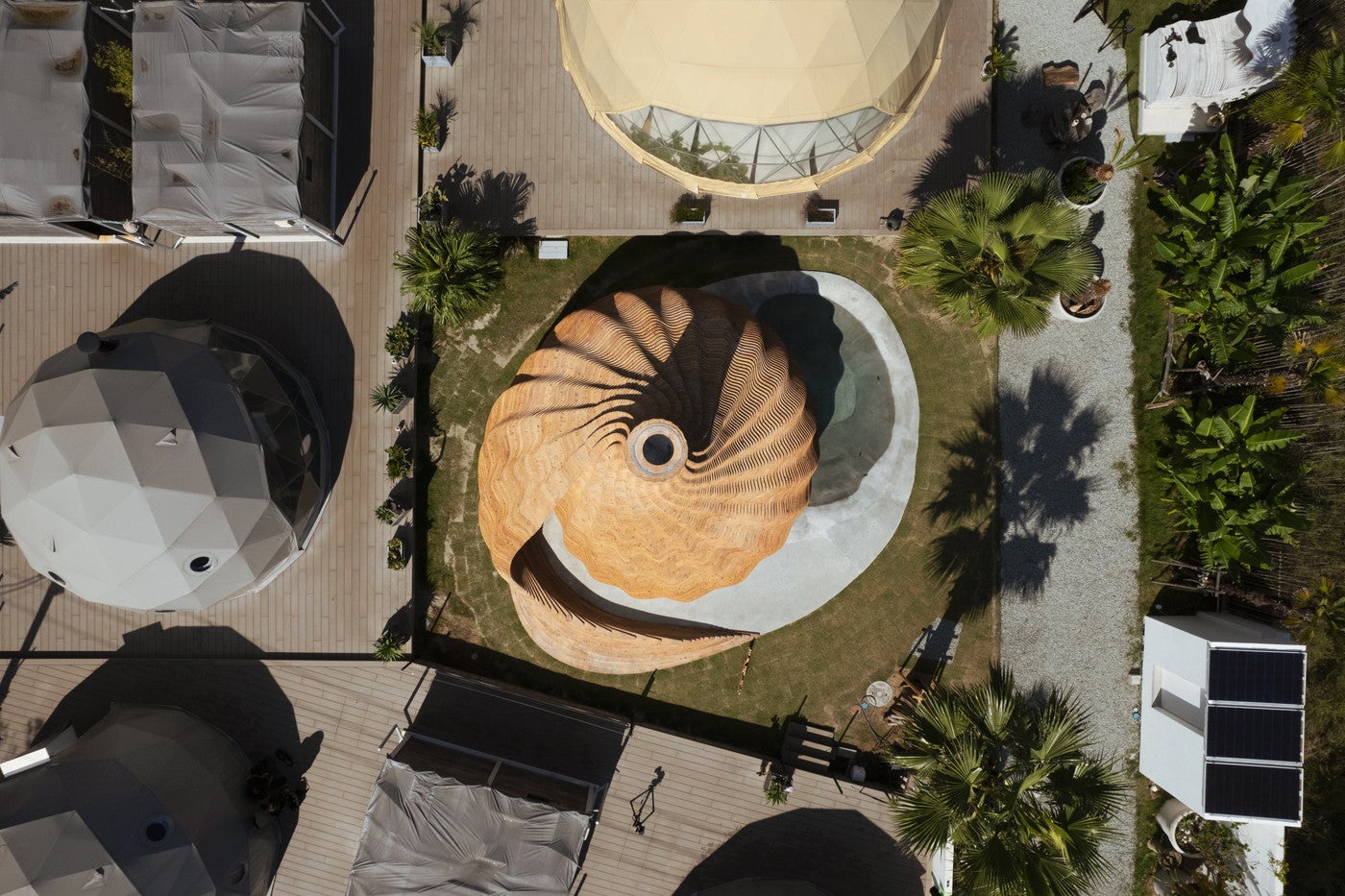 （C） Keishin Horikoshi／SS （C） SS