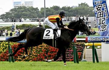 伯父にトーセンジョーダンのルクスアルカードは30日の中京3Rで初陣 ジョドレルバンクは芙蓉Sへ