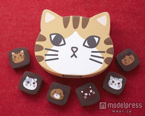「ショコラティエ ヤン・プロット 猫ボックスチョコ」1箱¥3,000(税抜)