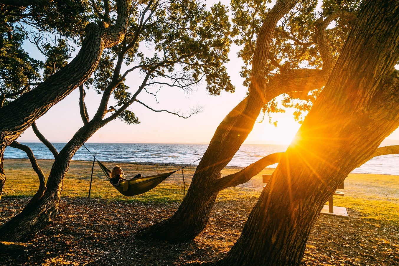 コロマンデル（C）Logan Dodds