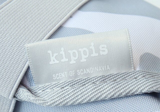 宝島社　ムック本　雑誌　付録　kippis（R）保冷クロス＆ランチトートバッグSET