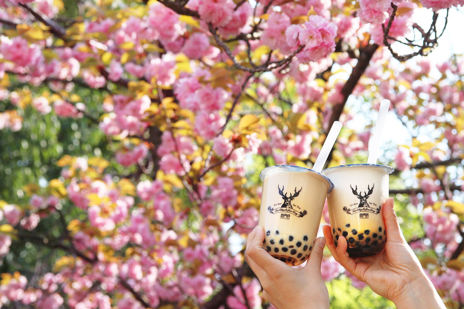 「FUKUOKA STREET PARTY 2019～ FASHION AVENUE～」に出店／画像提供：株式会社ポトマック