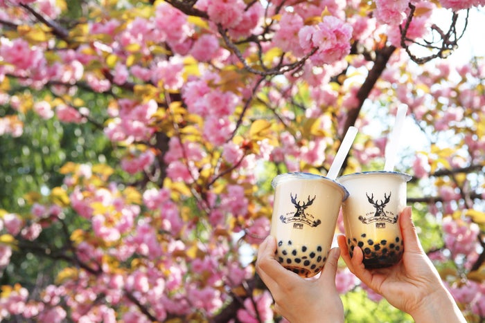 「FUKUOKA STREET PARTY 2019～ FASHION AVENUE～」に出店／画像提供：株式会社ポトマック