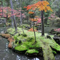 「世界遺産」に詳しい旅のプロが感動した! 秋の行楽に本気で推したい名所3選【2025年最新】