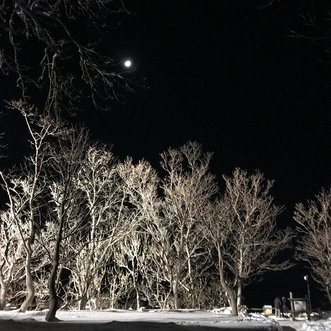 知床流氷フェス（提供写真）