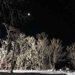 知床流氷フェス(提供写真)