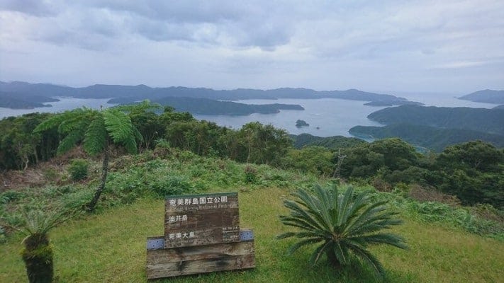 油井岳園地からの大島海峡の眺め。対岸は加計呂麻島（2021年10月撮影）