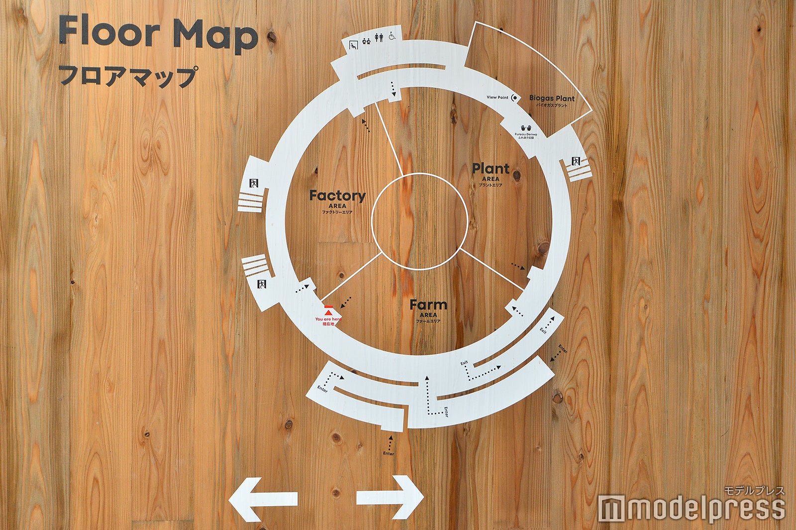 日本館（C）モデルプレス