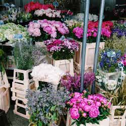 朝市マルシェ/画像提供:所属事務所