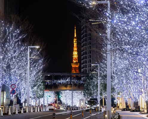 六本木ヒルズ冬の風物詩「けやき坂イルミネーション」11月4日点灯、恒例のクリスマスマーケットも開催